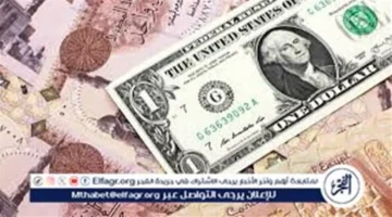 تحرك جديد بالبنوك.. سعر الدولار في مصر يسجل مستويات غير مسبوقة بمنتصف الأسبوع